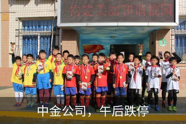 中金公司，午后跌停