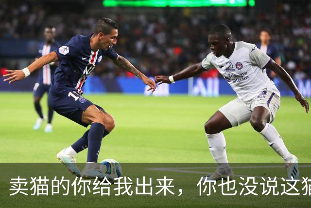 卖猫的你给我出来，你也没说这猫能长这么大啊