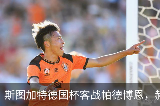 斯图加特德国杯客战帕德博恩，赫内斯要求球队做出回应
