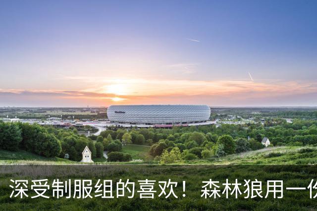深受制服组的喜欢！森林狼用一份双向合同签回了这位锋线球员？