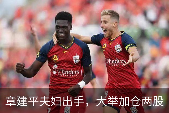 章建平夫妇出手，大举加仓两股