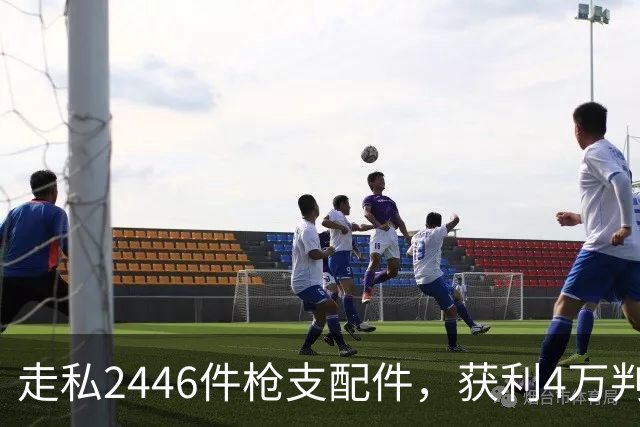 走私2446件枪支配件，获利4万判了10年，国家射击教练田红案披露